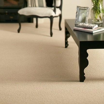 Living room with neutral carpet flooring